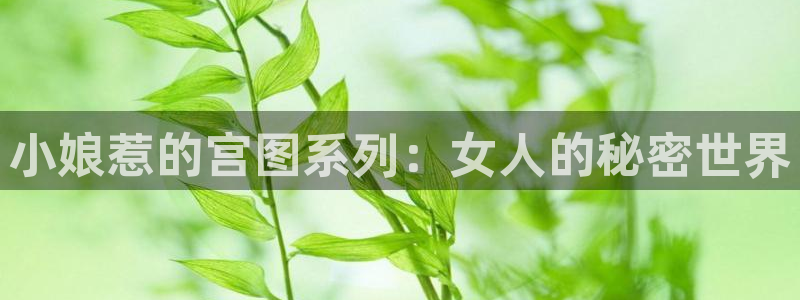 素描包子漫画：小娘惹的宫图系列：女人的秘密世界