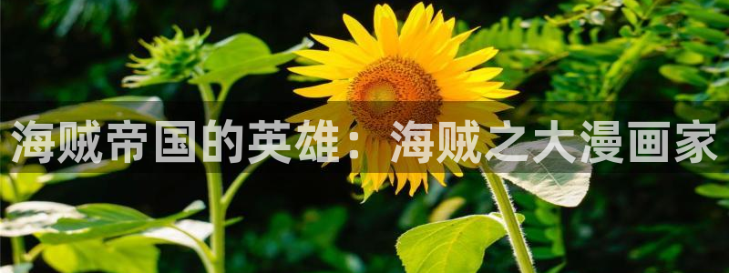 正版包子漫画下载：海贼帝国的英雄：海贼之大漫画家