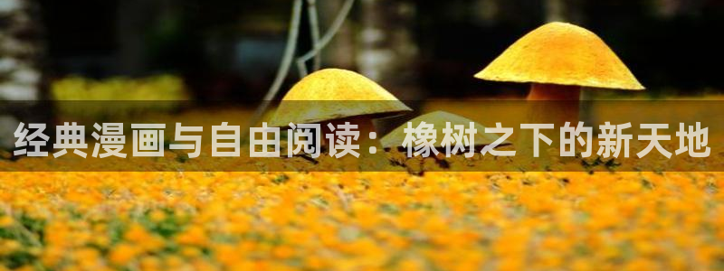 包子漫画网：经典漫画与自由阅读：橡树之下的新天地