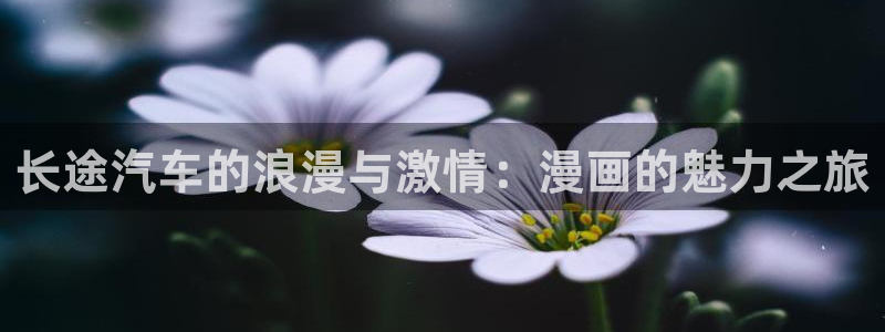 系统送我避难所包子漫画：长途汽车的浪漫与激情：漫画的魅力之旅