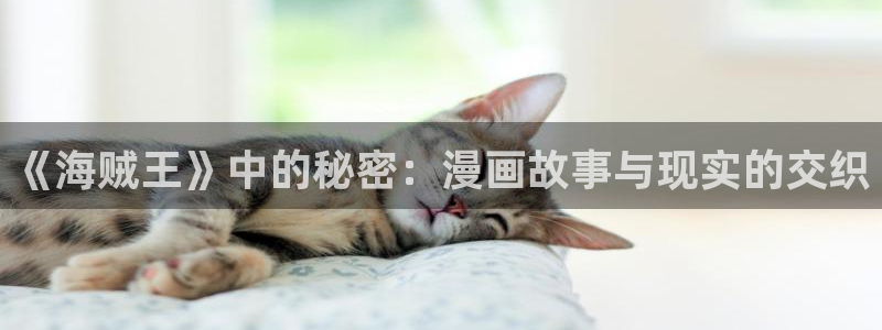 噬主漫画免费下拉式包子漫画：《海贼王》中的秘密：漫画故事与现实的交织